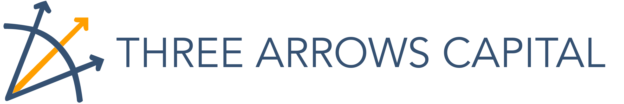 Three Arrows Capital | Lead investor