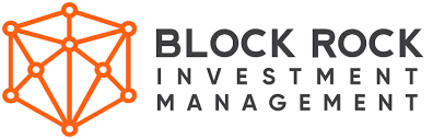 Block Rock (BR) capital | Lead investor