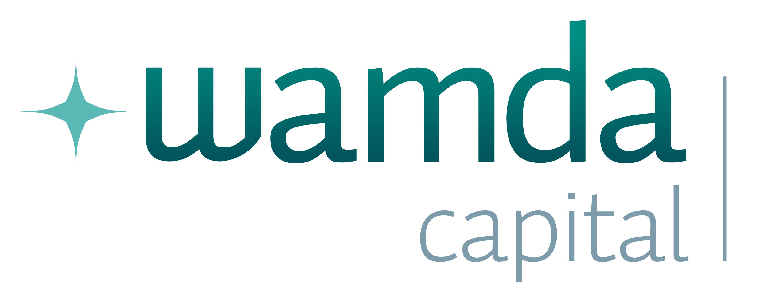 Wamda Capital | Lead investor