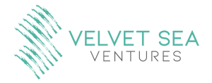 Velvet Sea Ventures | Lead investor