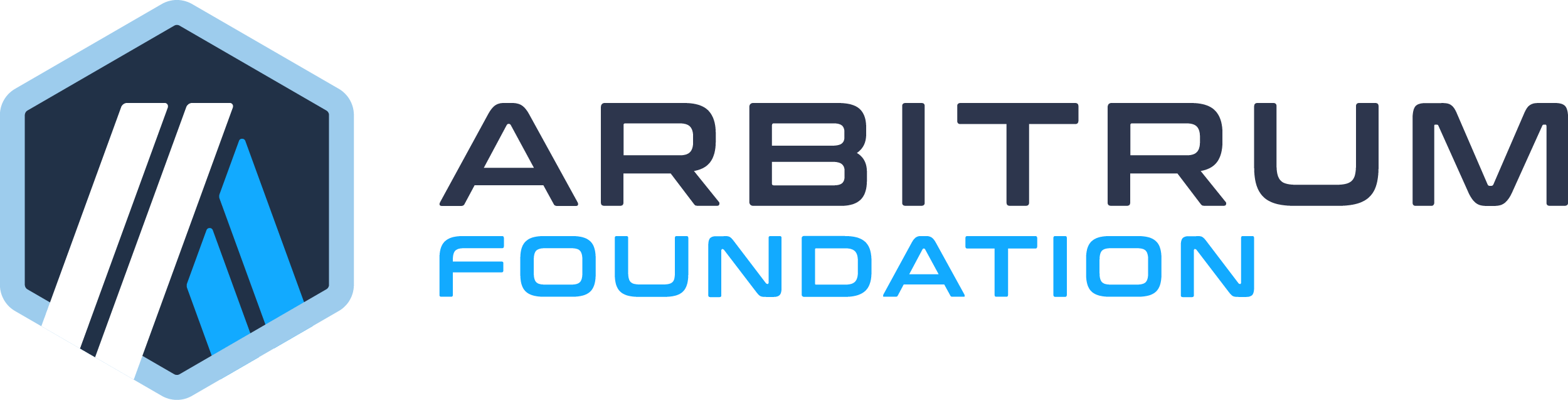 Arbitrum Foundation | Lead investor