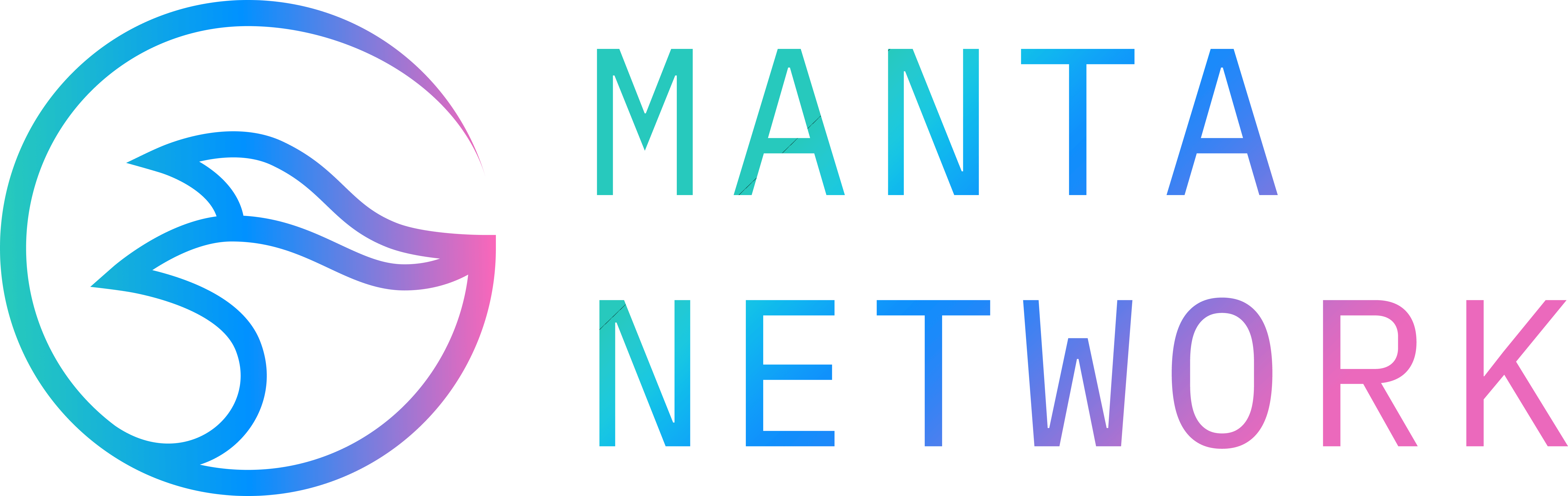 Manta Network | Lead investor