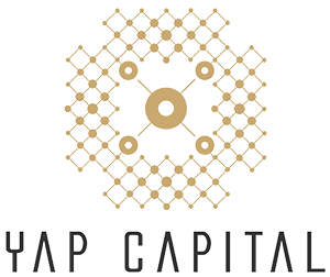 YAP Capital | Lead investor