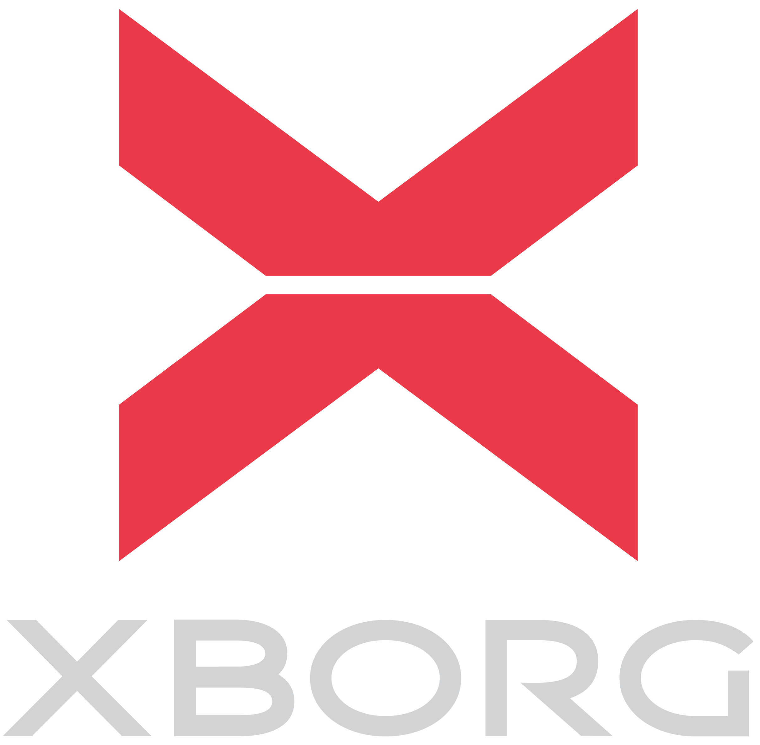 XBorg | Lead investor