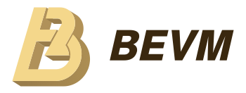 BEVM | Lead investor