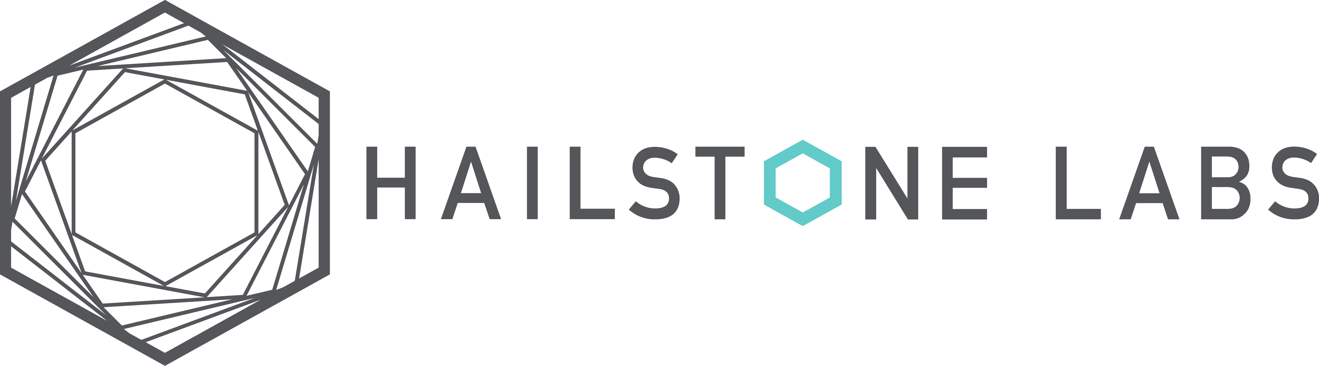 Hailstone Labs | Lead investor