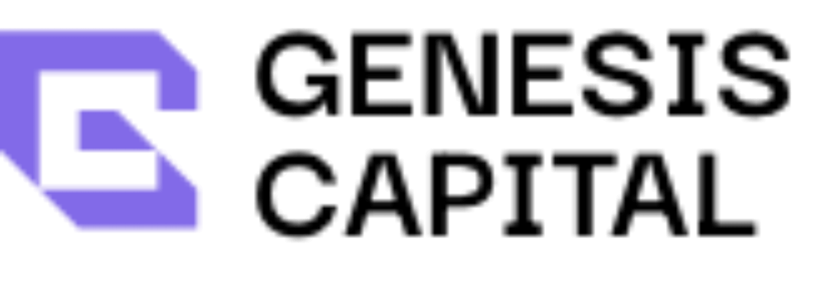 Genesis Capital VC | Lead investor Genesis Capital VC | Lead investor