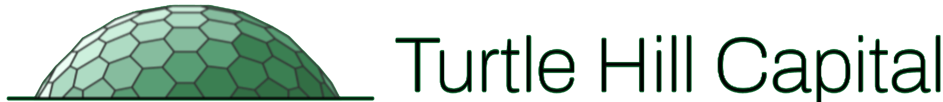 Turtle Hill Capital                                                        