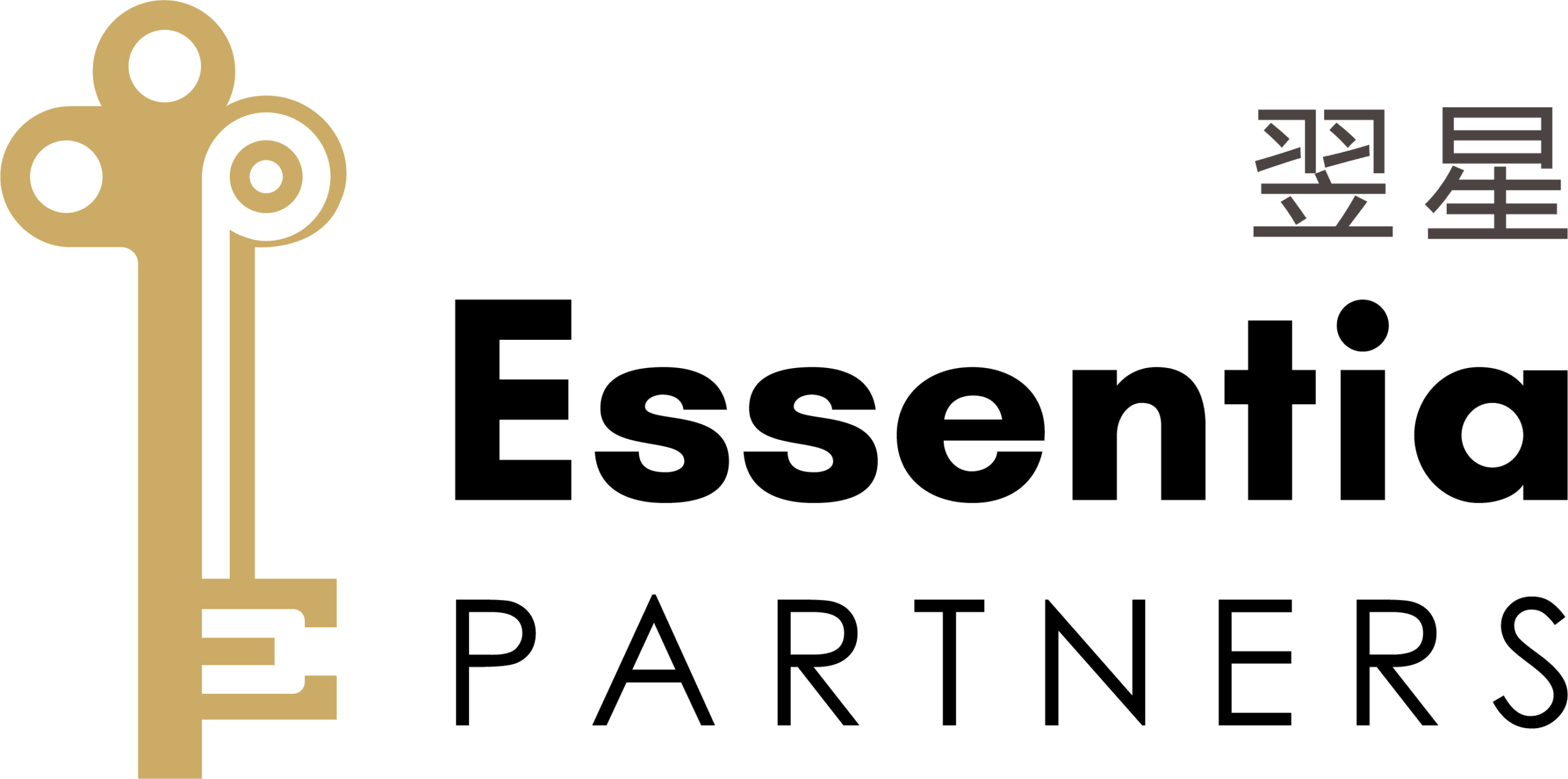 Essentia Partners Essentia Partners
